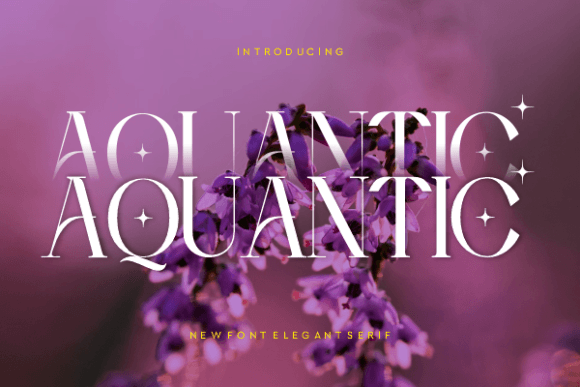Aquantic Serif Font Review for Real Projects