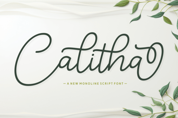 Calitha Font for Branding Projects