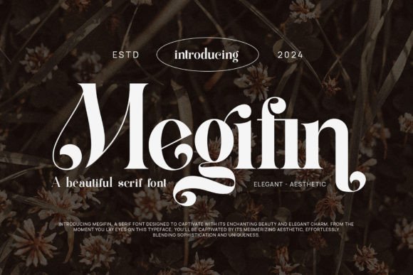 Megifin: A Serif Font for Timeless Editorial Design