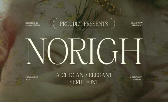 Norigh Font Review for Modern Branding Projects