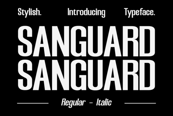 Sanguard: A Modern Sans Serif Font for Editorial Clarity