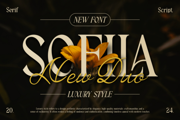 Testing Sofila: A Serif Font for Modern Web Design